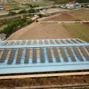 장동태양광발전소 이미지