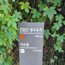 24년 11월 9일 청계산 이수봉 산행 이미지