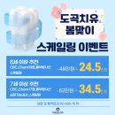 도곡 치유 동물병원 이미지