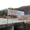 홍천 비발디파크 근처 식당, 참소나무농원에서 토종닭 백숙 제대로 뜯고 온 후기