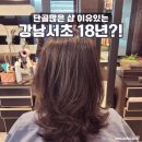 강남역 직장인, 서초 미용실에서 레이어드펌 했어요