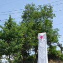 탄현체육공원 이미지