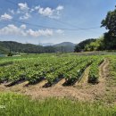 대천부동산공인중개사사무소 이미지