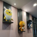 역북카카오VX 이미지