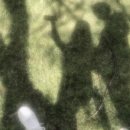 부산족발 주식회사 | 내가 아직 세상을 좋아하는데에는