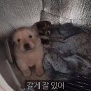 지금