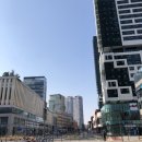 세종매니아