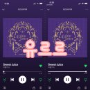 유르르 Daum카페