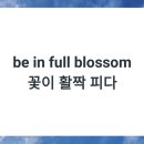 꽃피다Bloom 이미지
