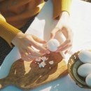 달걀 “이렇게” 먹으면 단백질 흡수율 2배 높이고 세균 위험 없앤다 이미지