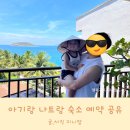 사이판모텔 | 아기랑 나트랑 숙소 예약: 네이비호텔, 아미아나 리조트, 시에스타호텔
