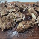 해넘이 숲속마을 이미지