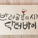 헤어바이진실 이미지