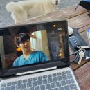 오션뷰제주게스트하우스 이미지