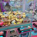 별빛캐치 이미지