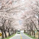 교대역  13번출구 뒤 2 이미지