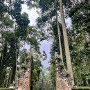 낙천그린농장 | 2025 발리 6