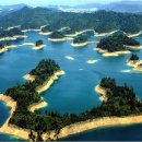 천도로 가로수길 이미지