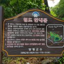 비호오토바이