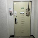 늘푸른동아 이미지