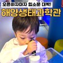 해양4로 | 시흥 실내 가볼만한곳 해양생태과학관 예약 체험 솔직 후기