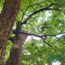 운계2구 이미지