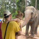 지토농장 | 🩵Phu Quoc🩵36개월 아기랑 푸꾸옥여행|빈펄사파리 이용 꿀팁(입장권 가격·공연 시간·트램)|북부 가볼만...