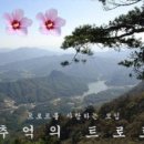 차라리