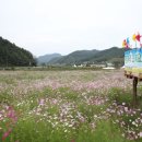 구룡천제방 이미지