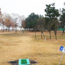 상록수공원 파크골프장 이미지