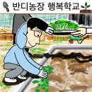송국농장 티스토리