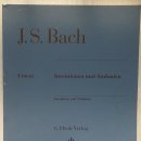 신포니아음악학원 이미지