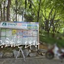 코끼리속내과의원 네이버블로그