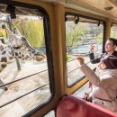 에버랜드 동물병원 이미지