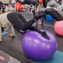 웨스트피지오짐 이미지