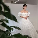 강서구웨딩 더베뉴지서울 패키지 파라팜웨딩&amp;해브브라이덜 청담동 쇼룸 후기