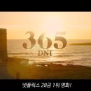 365일 이미지