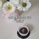 이리제 | [수원] 영통 두쫀쿠 맛집 "이리제" 방문 후기 (생딸기 두쫀쿠까~쥐🍓)