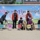 훈이애견 Daum카페