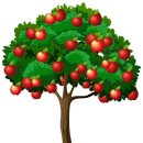 사과나무한의원 이미지