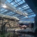 초양도 대관람차 | 경남 사천 여행 &lt;아라마루 아쿠아리움&gt; 케이블카 타고 수족관, 동물원, 회전목마, 대관람차 BIG5 즐기기