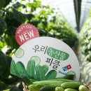 도담영농조합 이미지