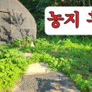 복나눔공인중개사사무소 이미지