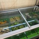 삼도숯불갈비식당 이미지