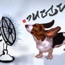 창촌초등학교 이미지