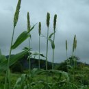 재경 약국 이미지