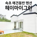 ic펜션 | 속초 애견동반펜션 3곳 비교하고 예약한 곳 후기