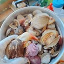 유명한칼국수 이미지