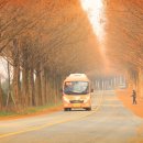 모래재 메타길 이미지