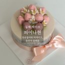 동해 케이크: 피어나현 떡케이크 후기, 답례품으로도 실패 없는 선택
